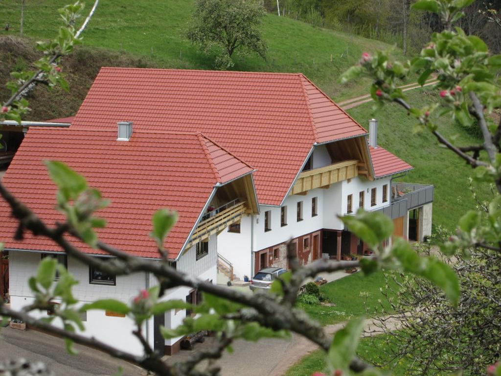 Stinneshof Oberharmersbach Zewnętrze zdjęcie