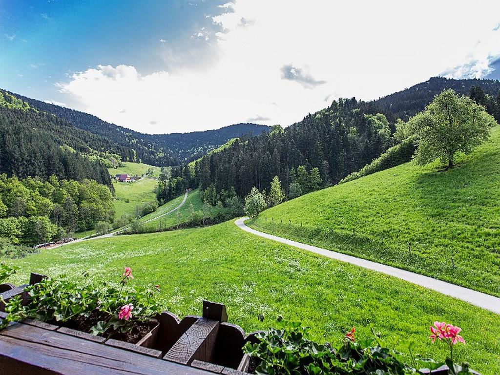 Stinneshof Oberharmersbach Zewnętrze zdjęcie