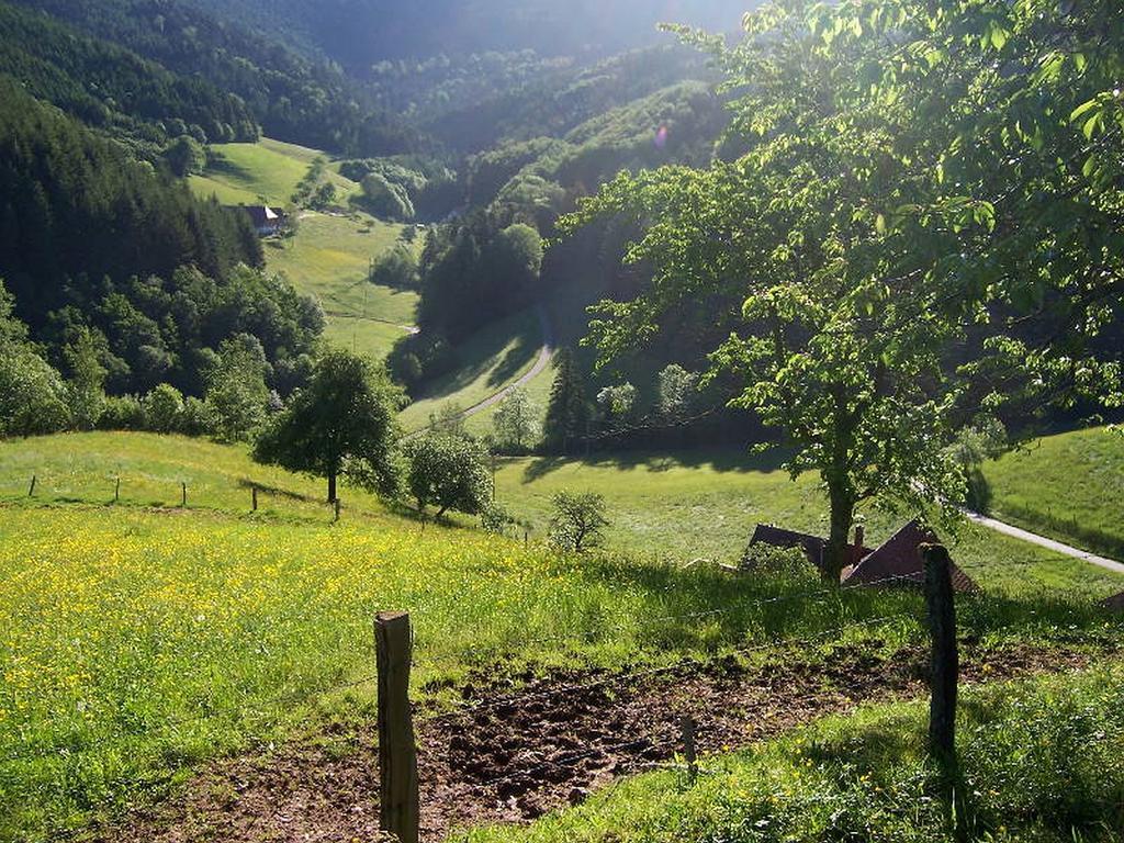 Stinneshof Oberharmersbach Zewnętrze zdjęcie