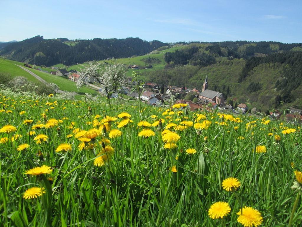 Stinneshof Oberharmersbach Zewnętrze zdjęcie