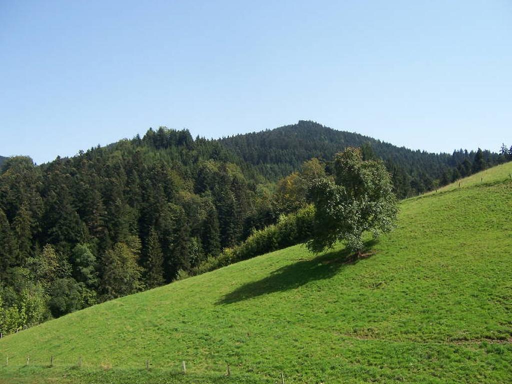 Stinneshof Oberharmersbach Zewnętrze zdjęcie