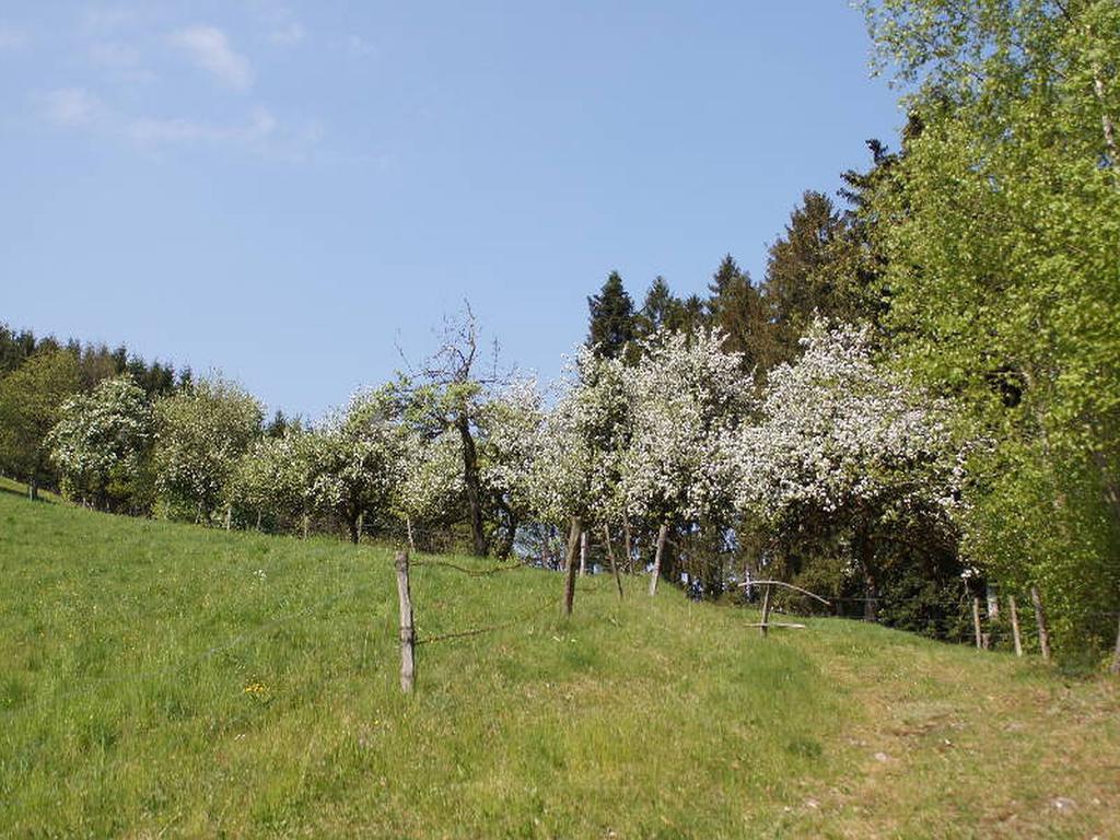 Stinneshof Oberharmersbach Zewnętrze zdjęcie