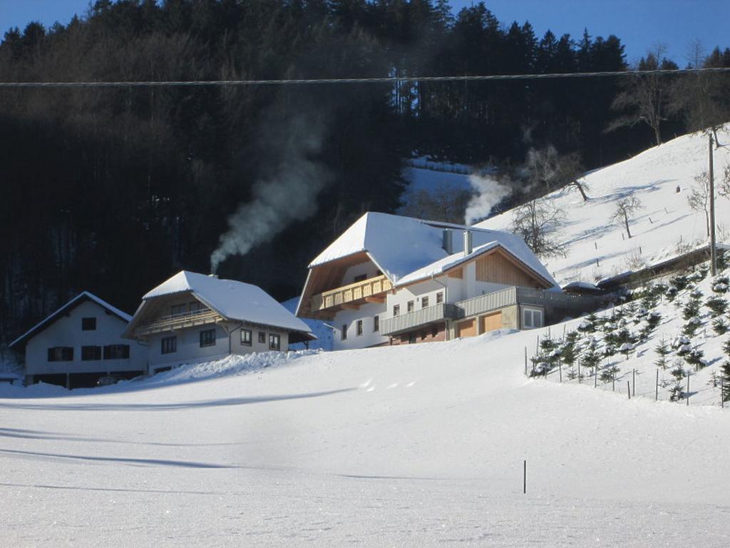 Stinneshof Oberharmersbach Zewnętrze zdjęcie