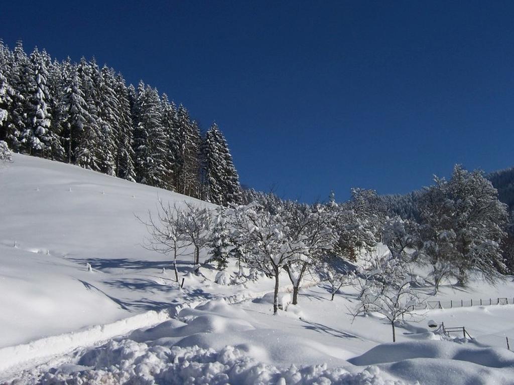 Stinneshof Oberharmersbach Zewnętrze zdjęcie