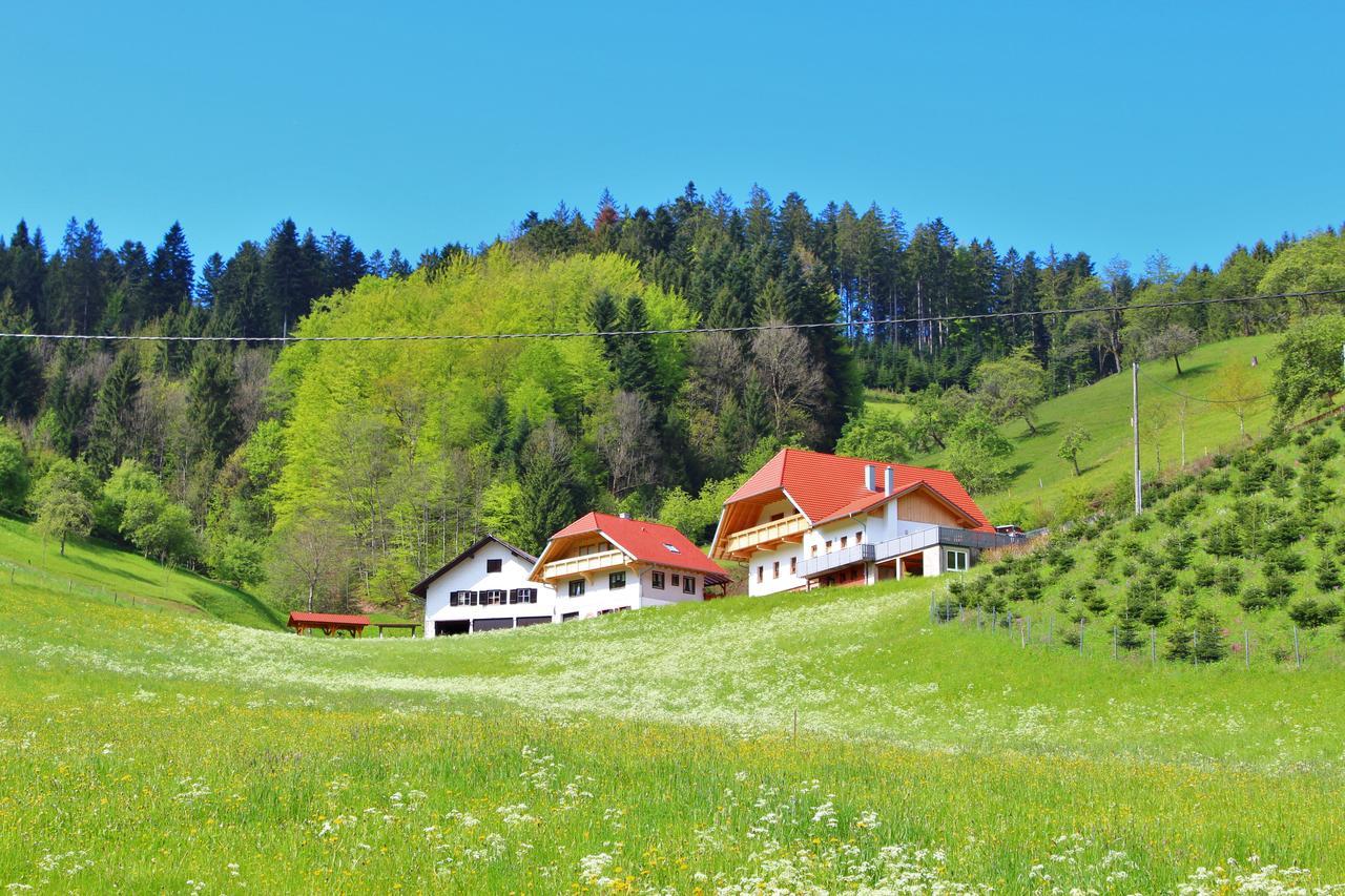 Stinneshof Oberharmersbach Zewnętrze zdjęcie